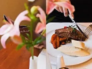 酒店 阿特拉斯海勒酒店 Halle (Saale)